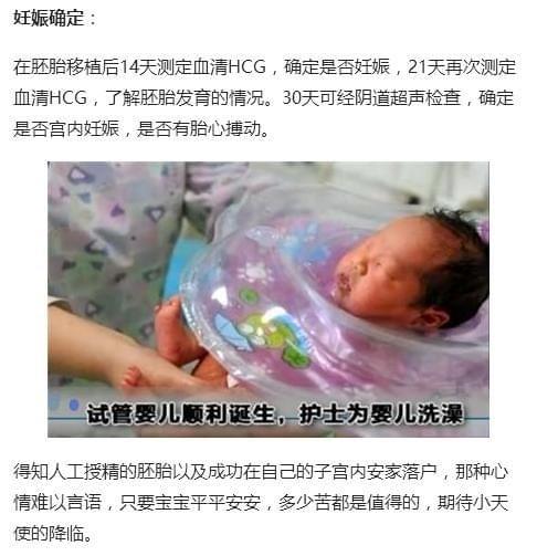 捐卵盲捐价格