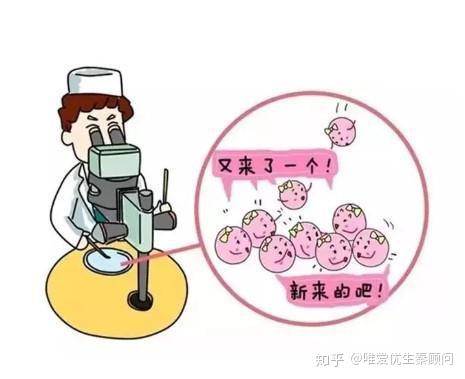 捐卵程序