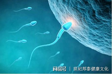 捐卵
