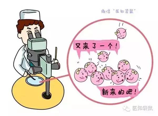 捐卵