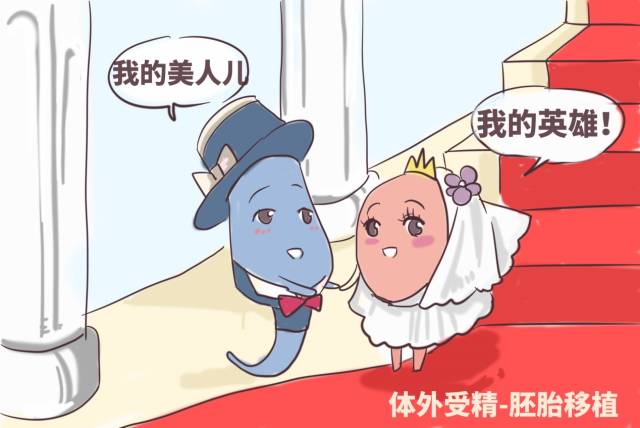 捐卵