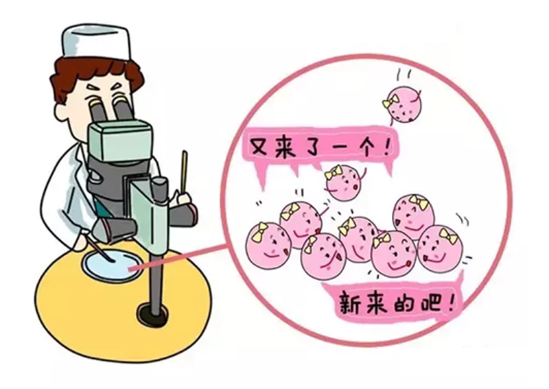捐卵