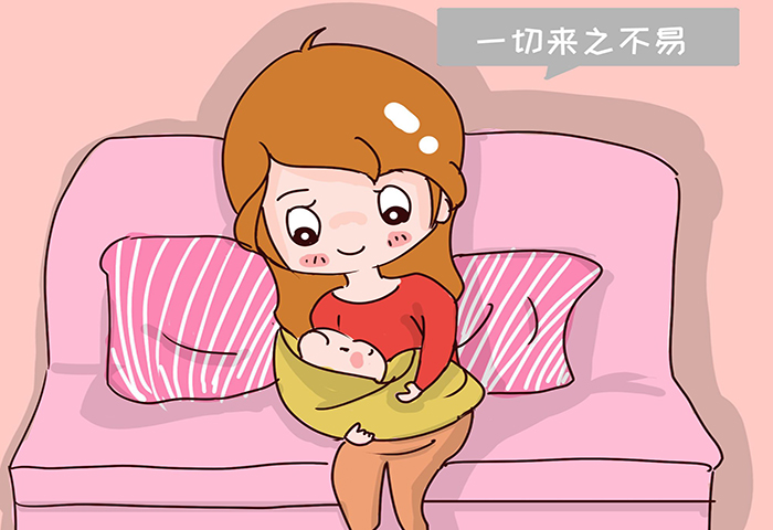捐卵者