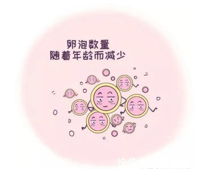 赴美生子