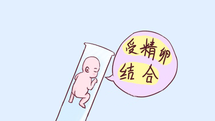 美国试管宝宝