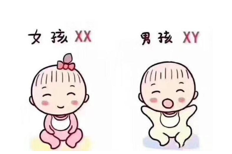 美国月子中心