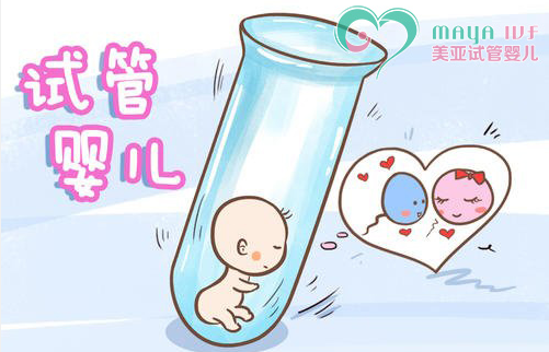 赴美生子流程