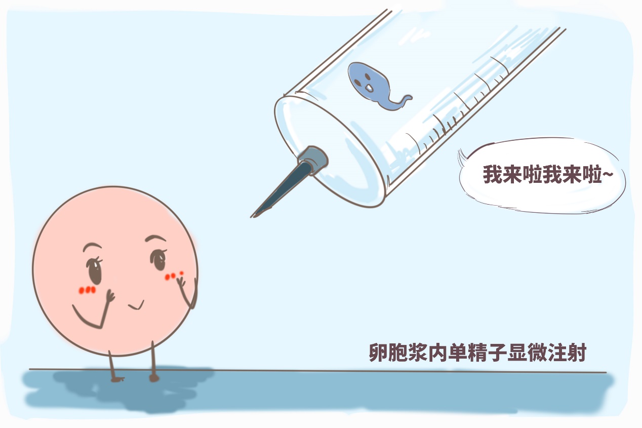 绵阳助孕中心