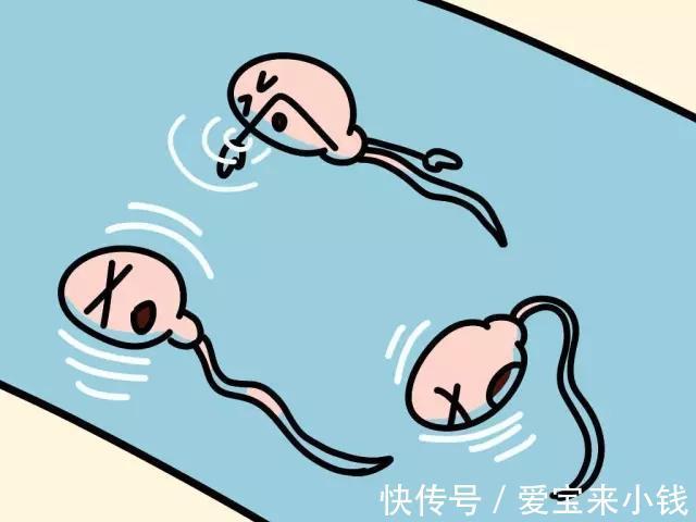 绥化试管代怀孕公司
