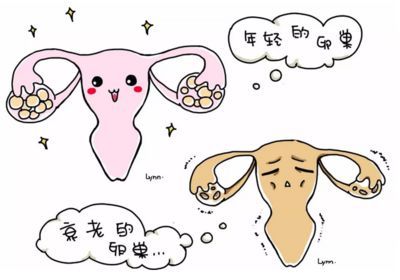 美国生孩子费用