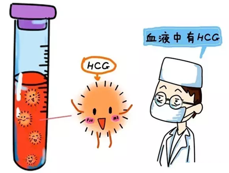 绥化捐卵补偿