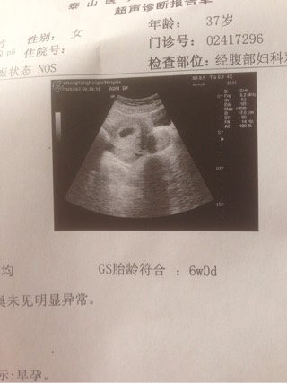 绵阳捐卵微信