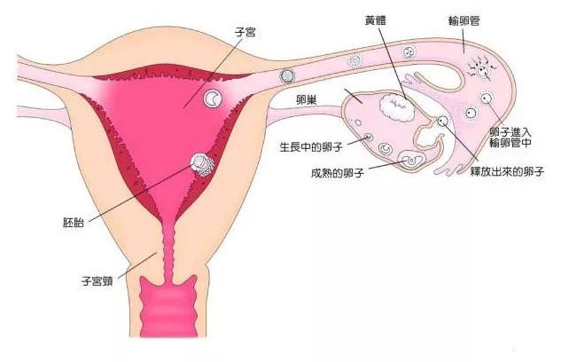 绵阳