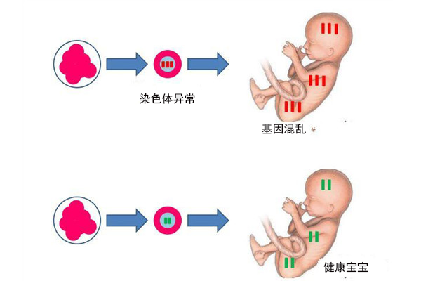 绵阳捐卵招聘多少钱