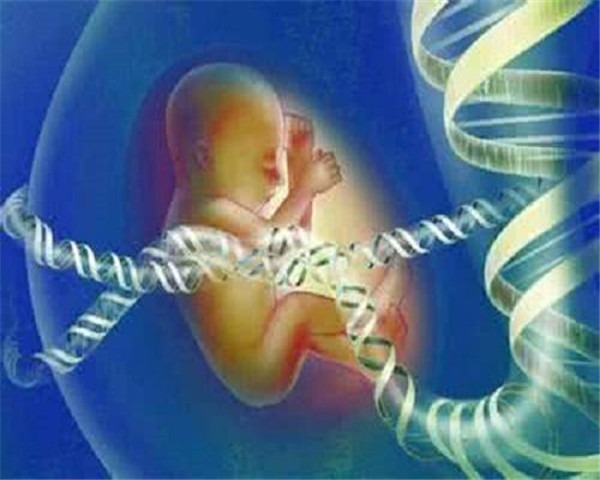 绵阳捐卵代怀生子