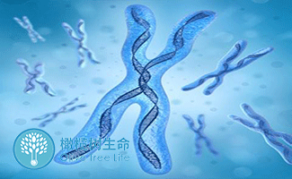 美国生孩子费用